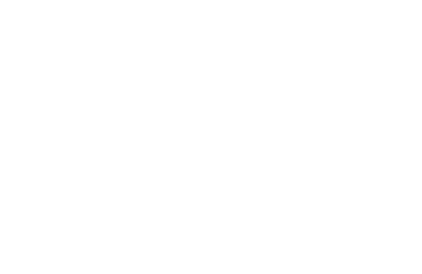 Santa Porca